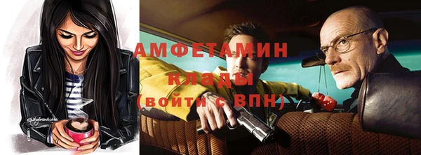 твердый Арсеньев