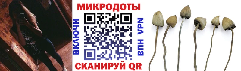 Псилоцибиновые грибы MAGIC MUSHROOMS  где можно купить   Жуковка 